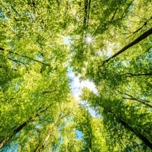 Corso settimanale di Biodanza '25-'26 a Vimodrone in zona Milano-est con Clara Pepe, facilitatrice di biodanza, psicologa e psicoterapeuta