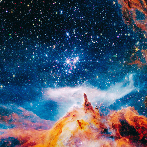 Inconscio vitale e principio biocentrico